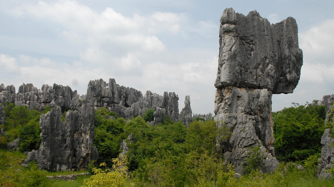 Stone Forest